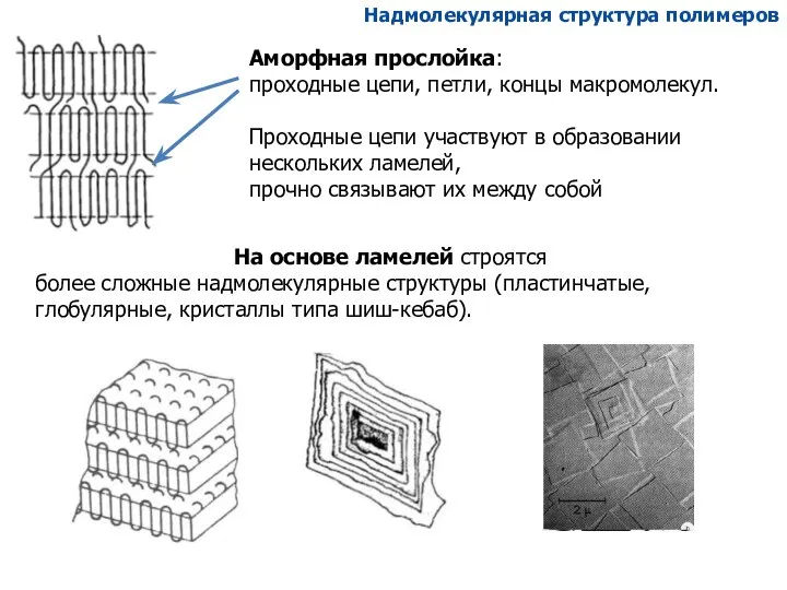 Аморфная прослойка: проходные цепи, петли, концы макромолекул. Проходные цепи участвуют в