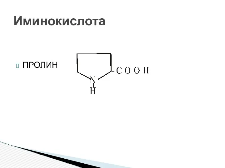 ПРОЛИН Иминокислота