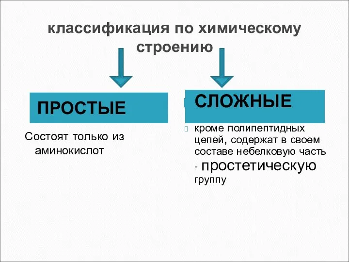 классификация по химическому строению ПРОСТЫЕ Состоят только из аминокислот СЛОЖНЫЕ кроме