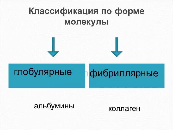 Классификация по форме молекулы глобулярные фибриллярные альбумины коллаген