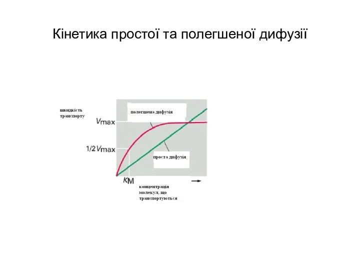 Кінетика простої та полегшеної дифузії