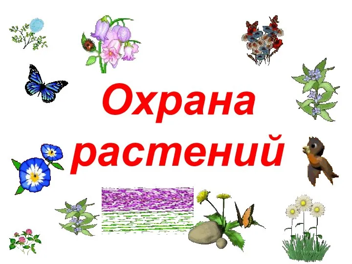 Охрана растений