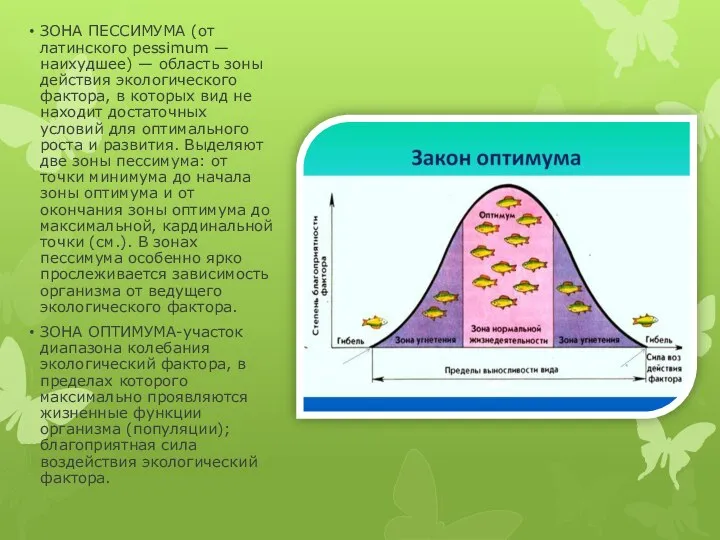 ЗОНА ПЕССИМУМА (от латинского pessimum — наихудшее) — область зоны действия