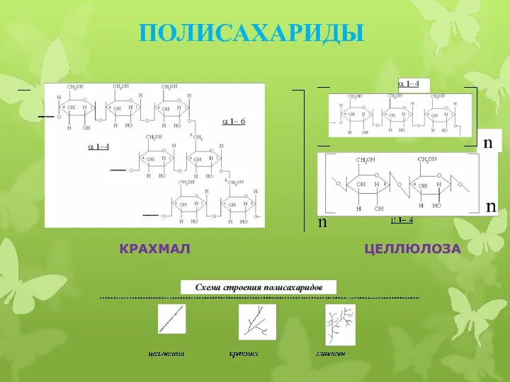 ПОЛИСАХАРИДЫ ЦЕЛЛЮЛОЗА КРАХМАЛ