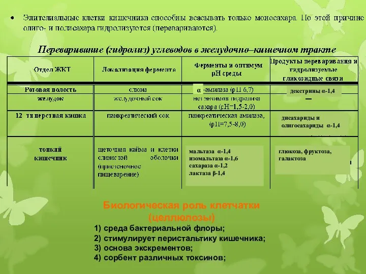 Биологическая роль клетчатки (целлюлозы) 1) среда бактериальной флоры; 2) стимулирует перистальтику