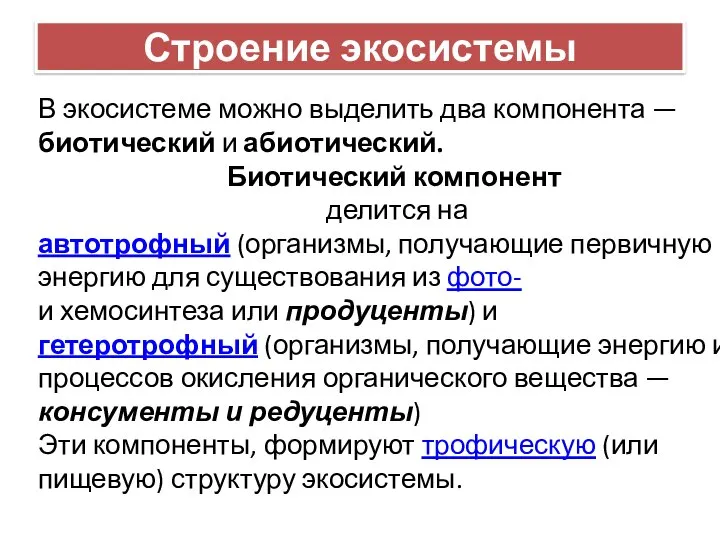 Строение экосистемы В экосистеме можно выделить два компонента — биотический и