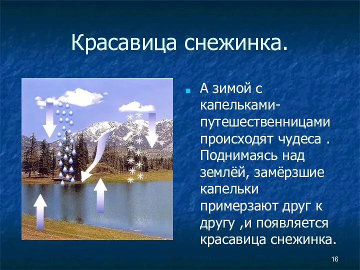 Красавица снежинка. А зимой с капельками-путешественницами происходят чудеса .Поднимаясь над землёй,