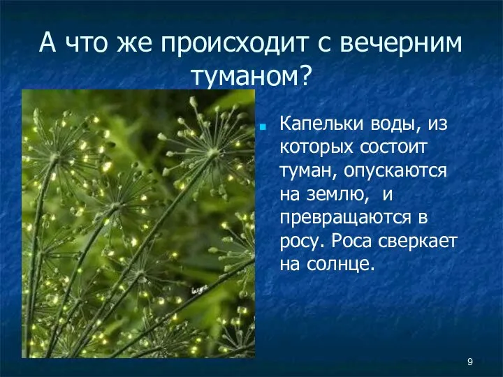 А что же происходит с вечерним туманом? Капельки воды, из которых