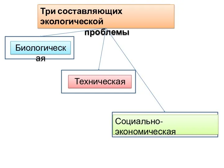 Биологическая Техническая Социально-экономическая Три составляющих экологической проблемы