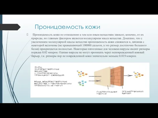 Проницаемость кожи Проницаемость кожи по отношению к тем или иным веществам