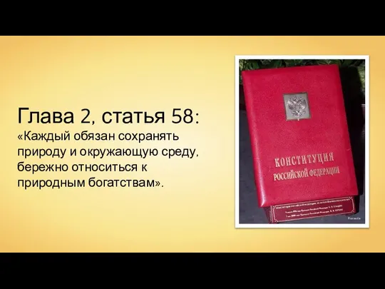 Глава 2, статья 58: «Каждый обязан сохранять природу и окружающую среду,