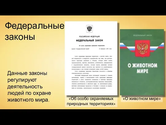 «Об особо охраняемых природных территориях» Данные законы регулируют деятельность людей по