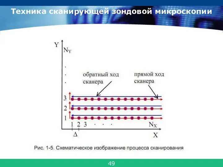 Техника сканирующей зондовой микроскопии 49