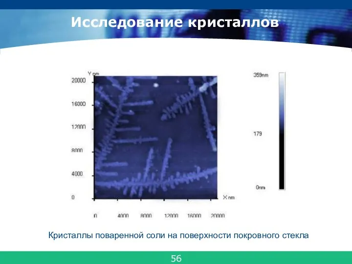 Исследование кристаллов Кристаллы поваренной соли на поверхности покровного стекла 56