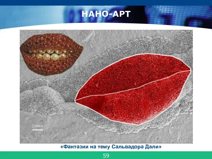 НАНО-АРТ «Фантазии на тему Сальвадора Дали» 59