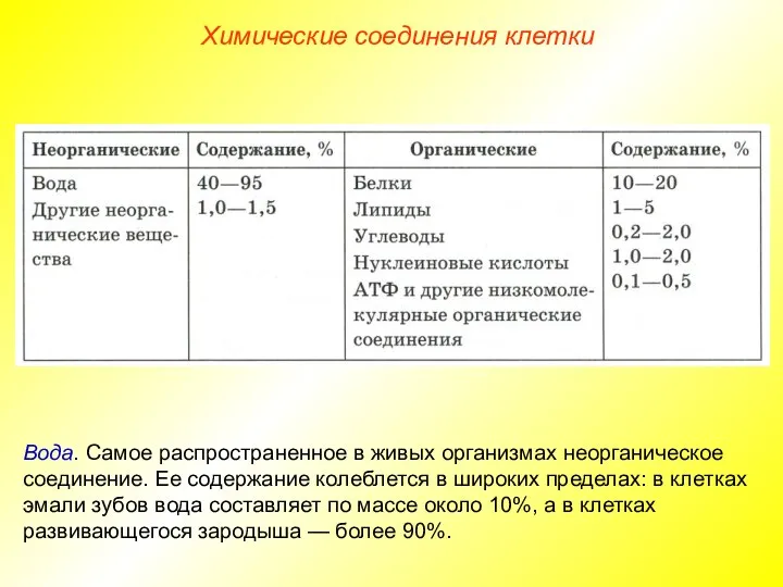 Химические соединения клетки Вода. Самое распространенное в живых организмах неорганическое соединение.