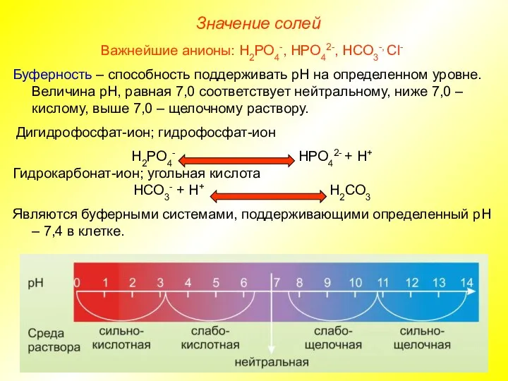 Значение солей Важнейшие анионы: Н2РО4-, НРО42-, НСО3-, Сl- Буферность – способность