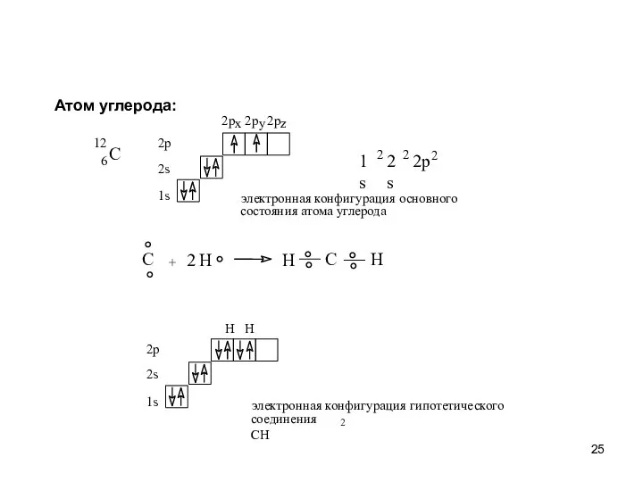 Атом углерода: C 12 6 1s 2s 2 2 2 2p