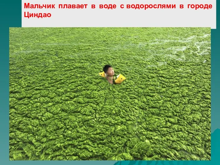 Мальчик плавает в воде с водорослями в городе Циндао