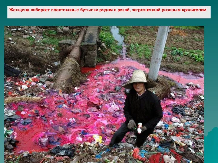 Женщина собирает пластиковые бутылки рядом с рекой, загрязненной розовым красителем