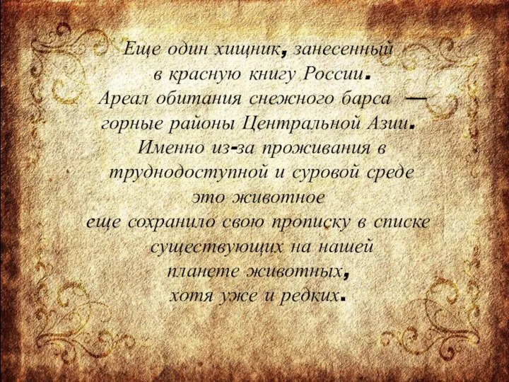 Еще один хищник, занесенный в красную книгу России. Ареал обитания снежного