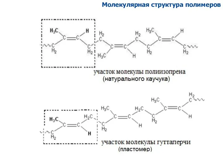 Молекулярная структура полимеров