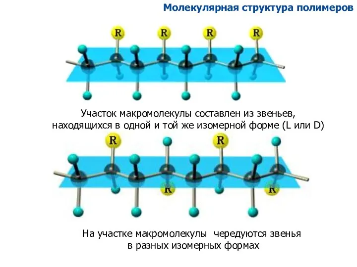 Молекулярная структура полимеров Участок макромолекулы составлен из звеньев, находящихся в одной