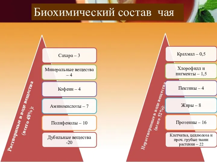 Биохимический состав чая Растворимые в воде вещества (всего 48%): : Нерастворимые в воде вещества (всего 52%):