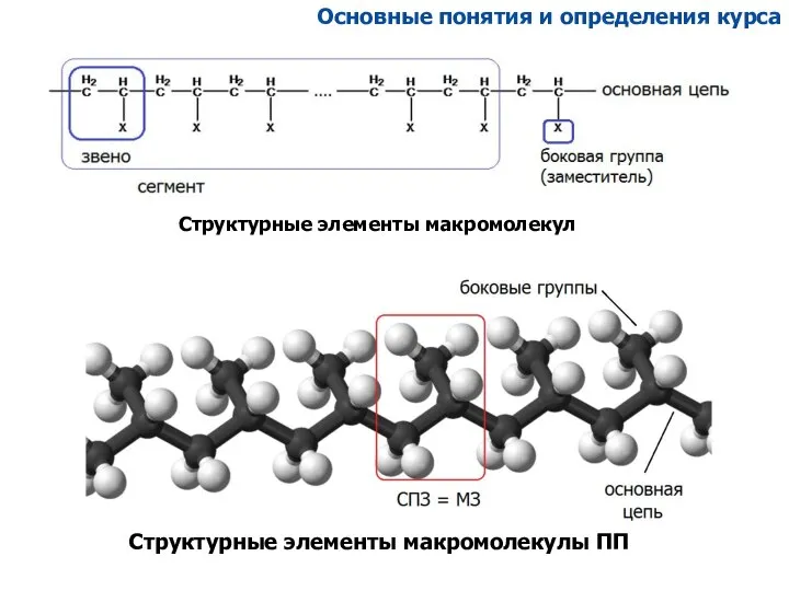 Основные понятия и определения курса Структурные элементы макромолекулы ПП Структурные элементы макромолекул