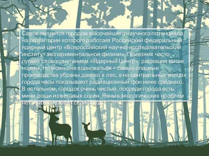 Саров является городом высочайшего научного потенциала, на территории которого работает Российский