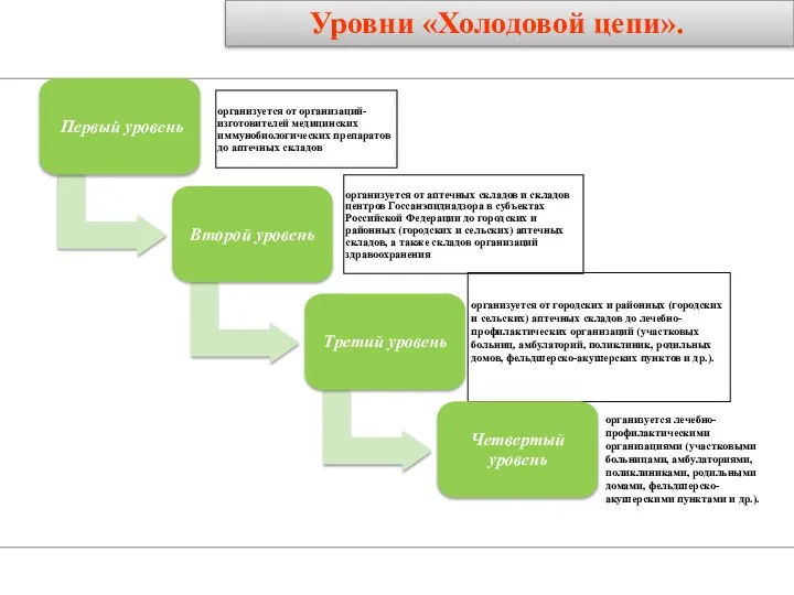 Уровни «Холодовой цепи». организуется лечебно-профилактическими организациями (участковыми больницами, амбулаториями, поликлиниками, родильными домами, фельдшерско-акушерскими пунктами и др.).