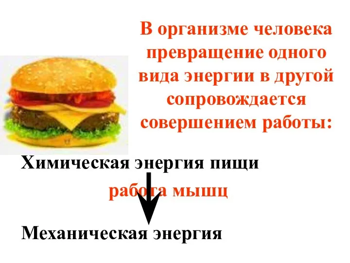 В организме человека превращение одного вида энергии в другой сопровождается совершением
