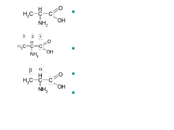 аланін (тривіальна назва) 2-амінопропанова кислота (замісникова ІЮПАК) α-амінопропіонова кислота (радикально-функціональна)
