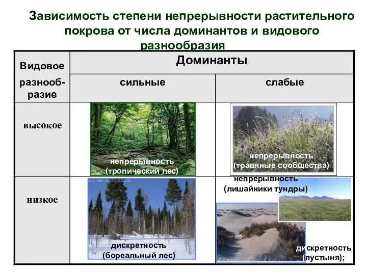 Зависимость степени непрерывности растительного покрова от числа доминантов и видового разнообразия