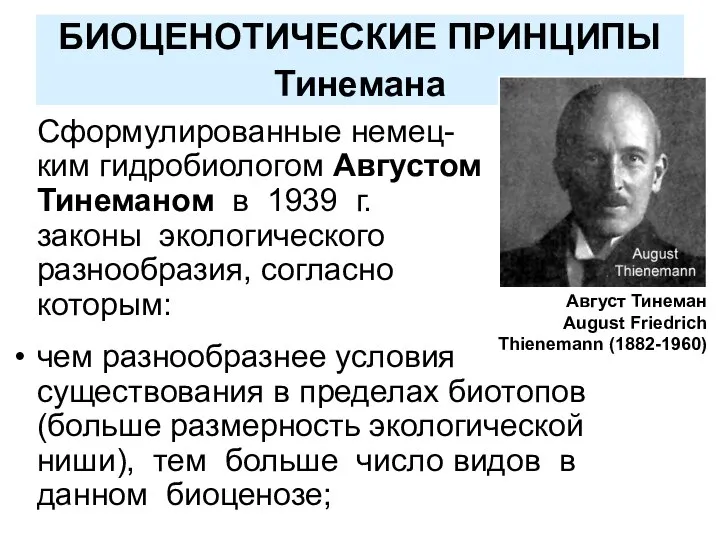 БИОЦЕНОТИЧЕСКИЕ ПРИНЦИПЫ Тинемана Сформулированные немец- ким гидробиологом Августом Тинеманом в 1939