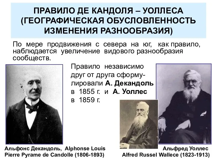 ПРАВИЛО ДЕ КАНДОЛЯ – УОЛЛЕСА (ГЕОГРАФИЧЕСКАЯ ОБУСЛОВЛЕННОСТЬ ИЗМЕНЕНИЯ РАЗНООБРАЗИЯ) По мере