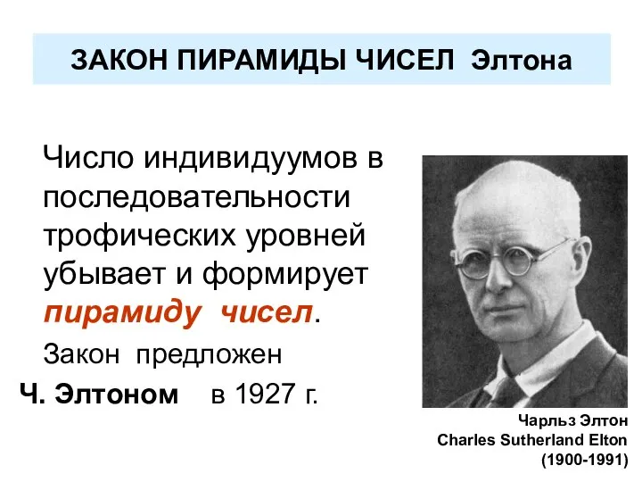 ЗАКОН ПИРАМИДЫ ЧИСЕЛ Элтона Число индивидуумов в последовательности трофических уровней убывает