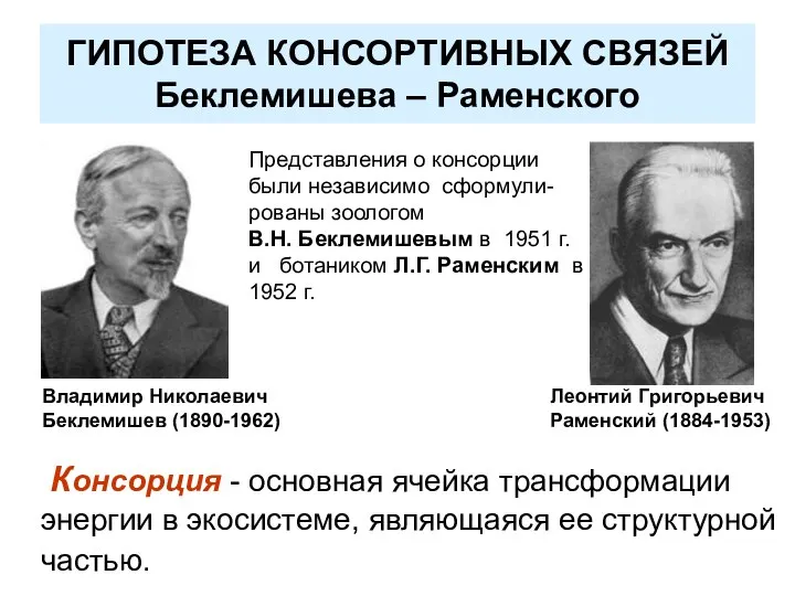 ГИПОТЕЗА КОНСОРТИВНЫХ СВЯЗЕЙ Беклемишева – Раменского Консорция - основная ячейка трансформации