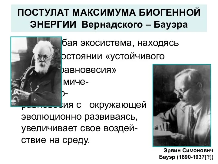 ПОСТУЛАТ МАКСИМУМА БИОГЕННОЙ ЭНЕРГИИ Вернадского – Бауэра Любая экосистема, находясь в