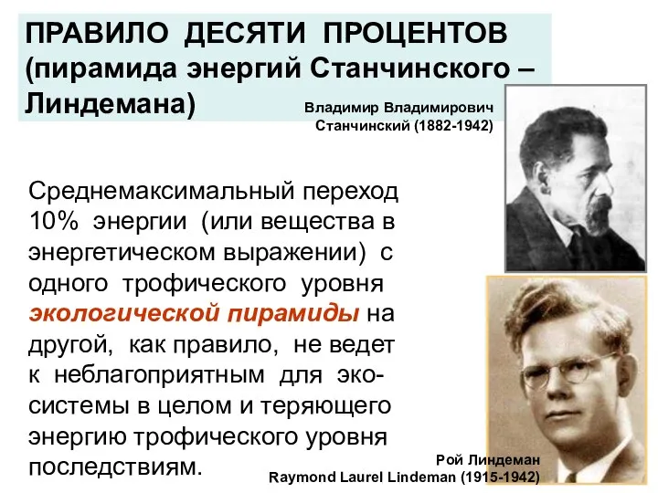 ПРАВИЛО ДЕСЯТИ ПРОЦЕНТОВ (пирамида энергий Станчинского – Линдемана) Среднемаксимальный переход 10%