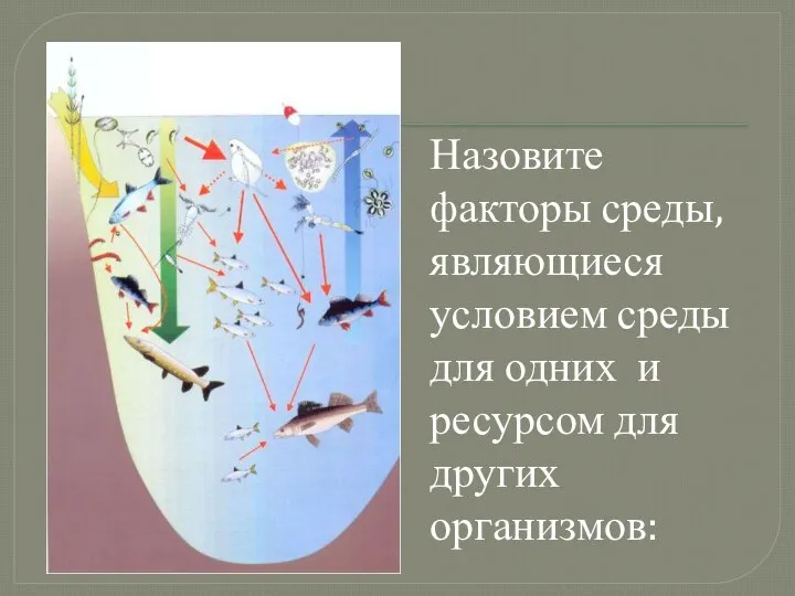 Назовите факторы среды, являющиеся условием среды для одних и ресурсом для других организмов: