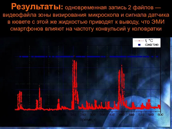 Результаты: одновременная запись 2 файлов — видеофайла зоны визирования микроскопа и