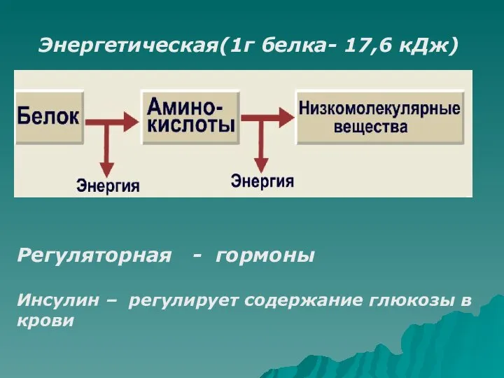 Регуляторная - гормоны Инсулин – регулирует содержание глюкозы в крови Энергетическая(1г белка- 17,6 кДж)