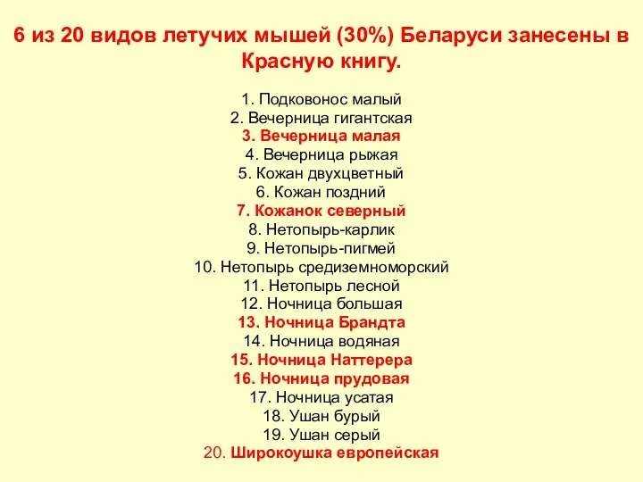 6 из 20 видов летучих мышей (30%) Беларуси занесены в Красную