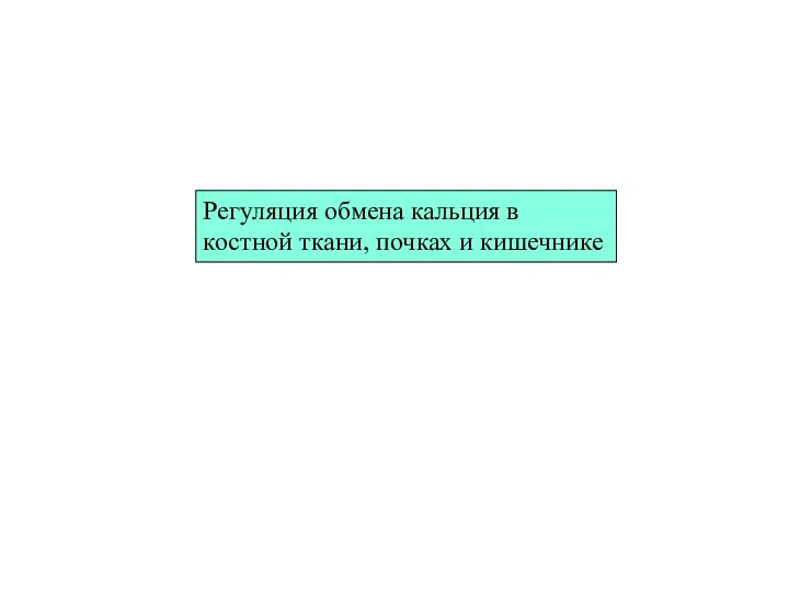 Регуляция обмена кальция в костной ткани, почках и кишечнике