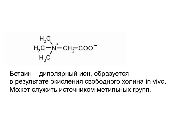 Бетаин – диполярный ион, образуется в результате окисления свободного холина in
