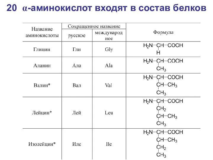 20 α-аминокислот входят в состав белков