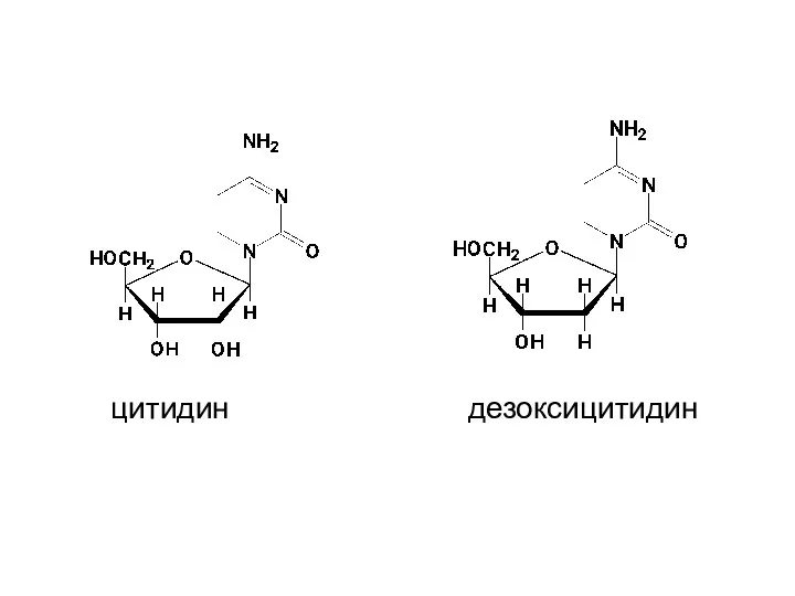 цитидин дезоксицитидин