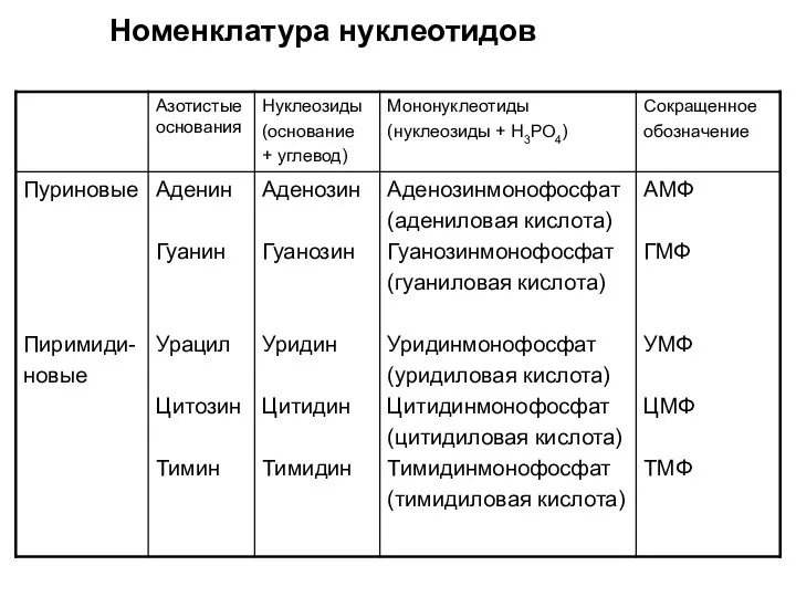 Номенклатура нуклеотидов