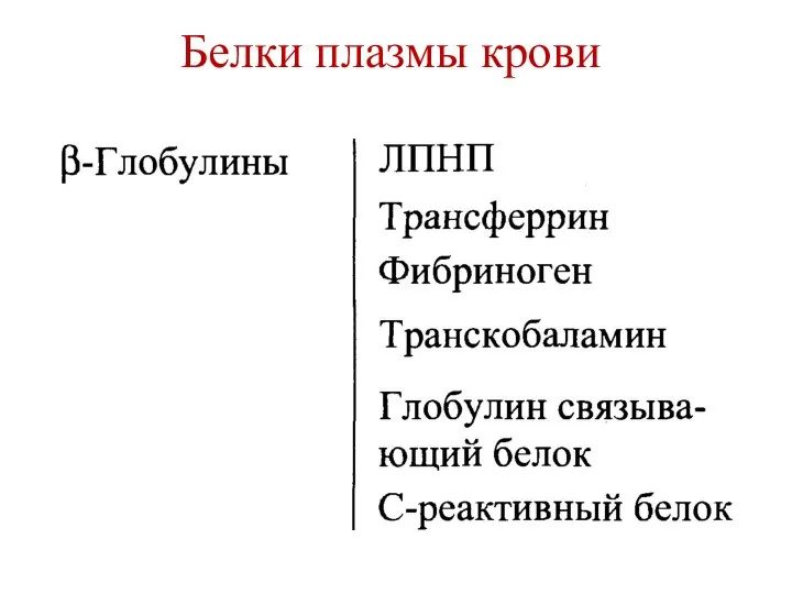 Белки плазмы крови